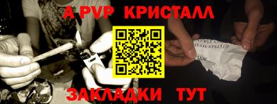 твердый Кингисепп
