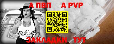 твердый Кингисепп